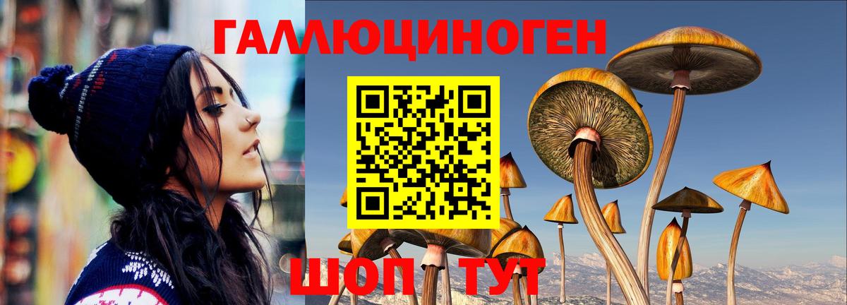 Псилоцибиновые грибы Psilocybine cubensis  Вход с VPN  Домодедово 